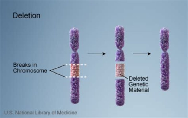 Are chromosomal deletions inherited?