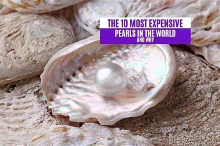 Are white pearls expensive?