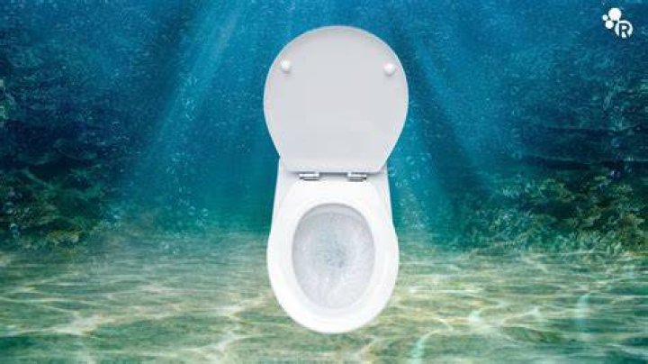 Can I pee in the ocean?