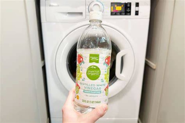 Can I put vinegar in my well?