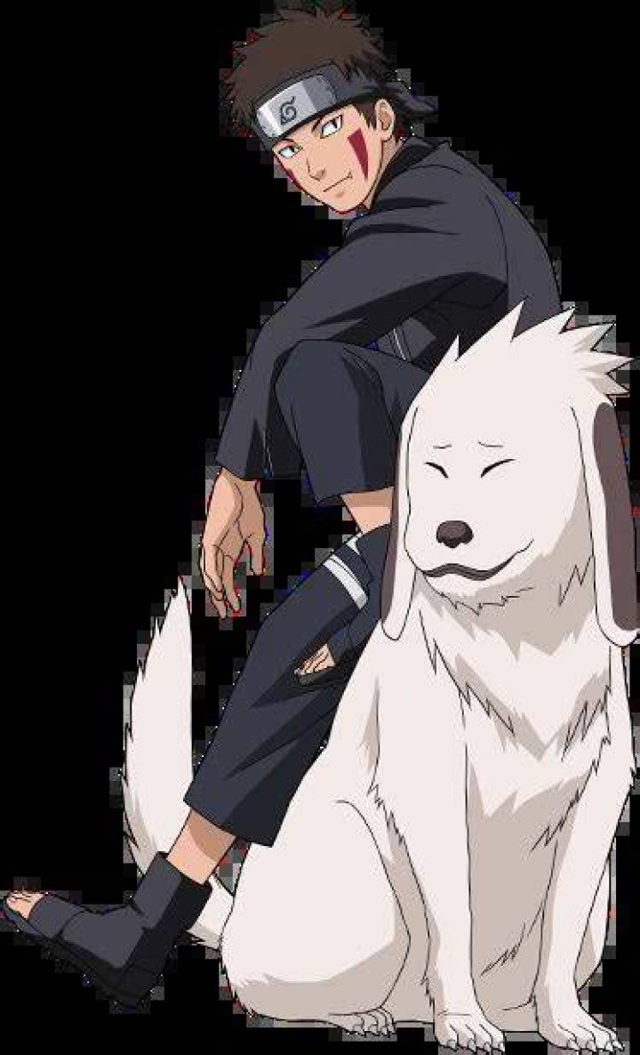 Can Kiba understand Akamaru?
