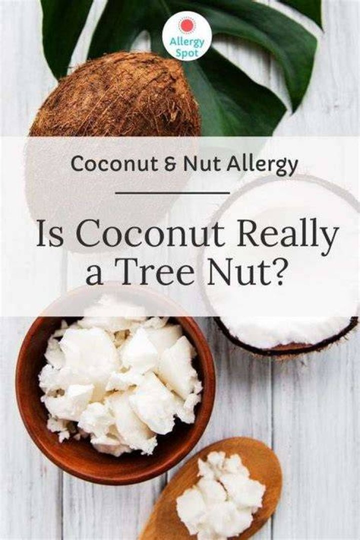 Can someone with a tree nut allergy use coconut oil?