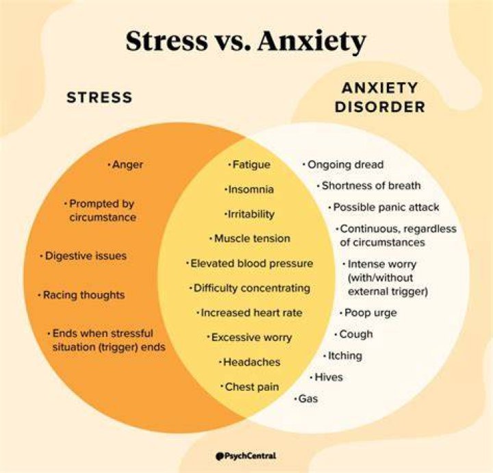 Can stress and anxiety cause cognitive issues?