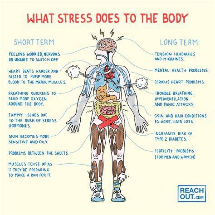Can stress shut down body?