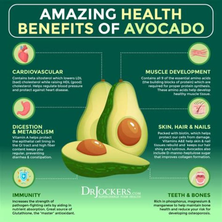 Can you eat avocados everyday?