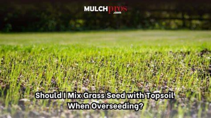 Can you mix grass seed with topsoil?