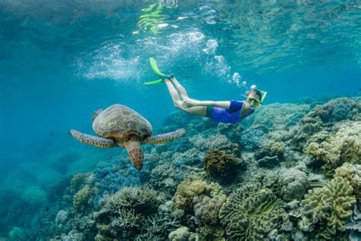 Can you snorkel in Cairns in December?