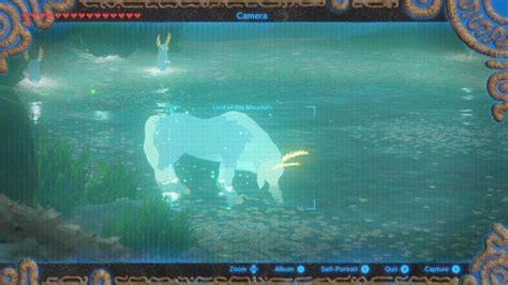Can you tame the Lord of the Mountain in Botw?