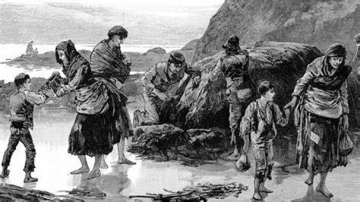 Did Germany have a potato famine?