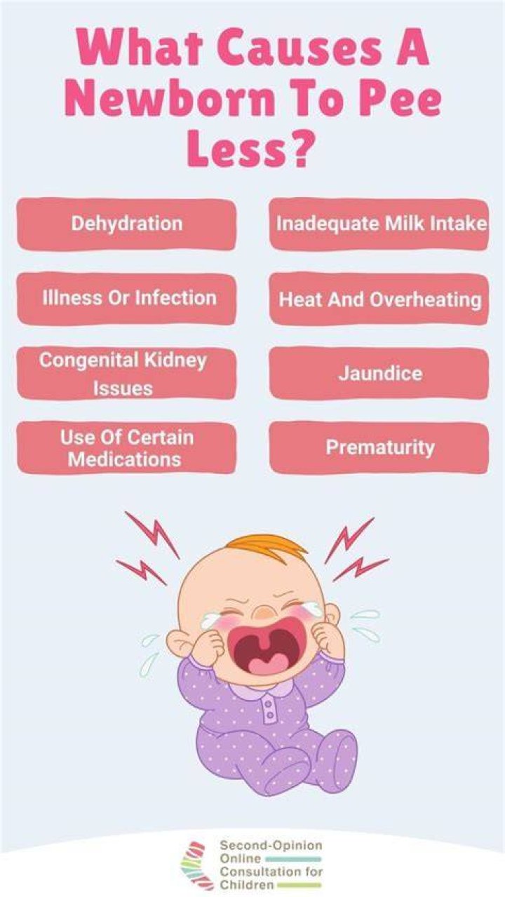 Do babies pee less at night?