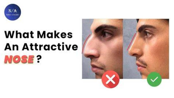 Do bigger noses get more oxygen?