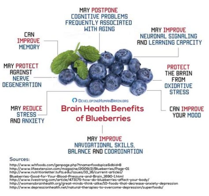 Do blueberries help anxiety?