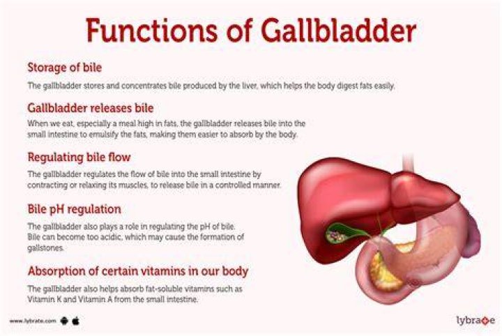 Does bread affect gallbladder?