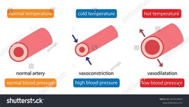Does cold water increase blood flow?