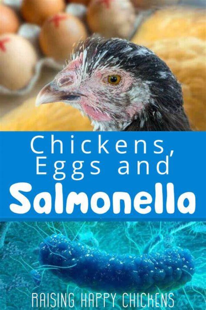Does washing chicken get rid of Salmonella?
