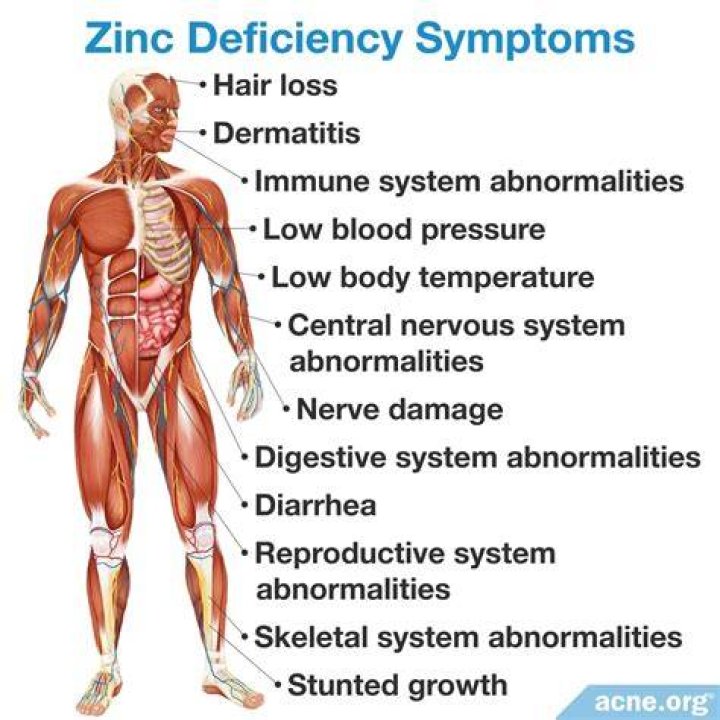 Does zinc cause bleeding?