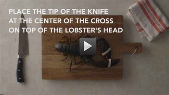 How do you humanely kill a lobster?