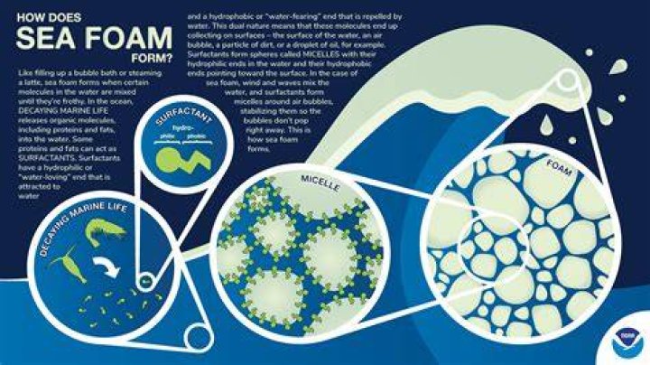 How good is sea foam?