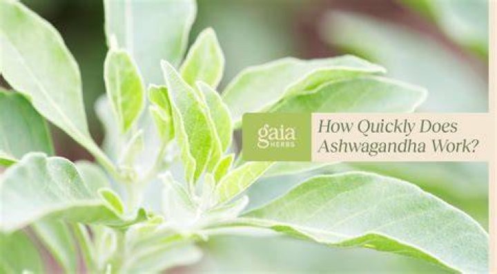 How long does it take ashwagandha to work?