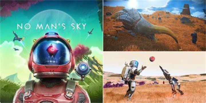 How many companions can you have in NMS?
