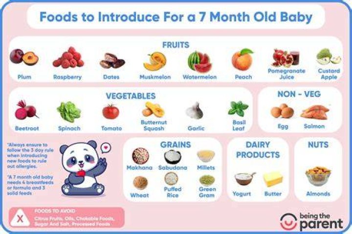How many jars of baby food should a 7 month old eat?