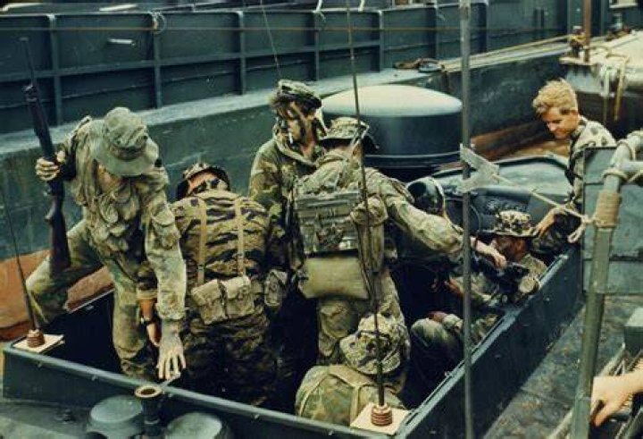 How many SEALs served in Vietnam?