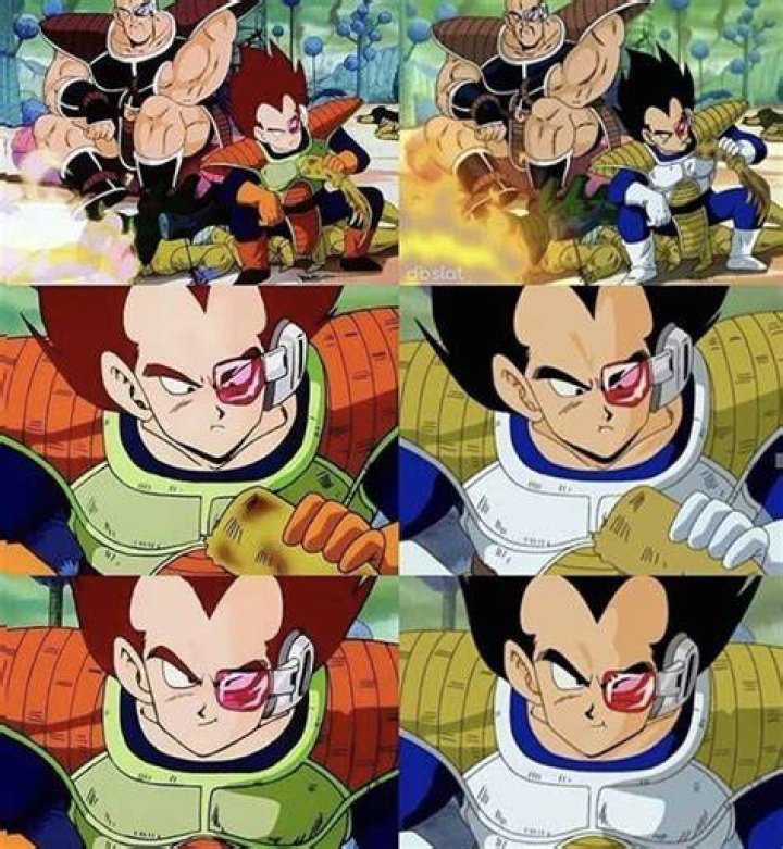How old is Vegeta Super?