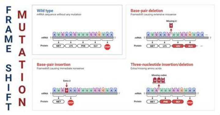 Is deletion a frameshift mutation?
