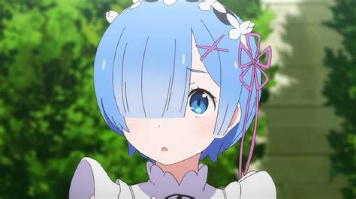 Is Rem a girl?