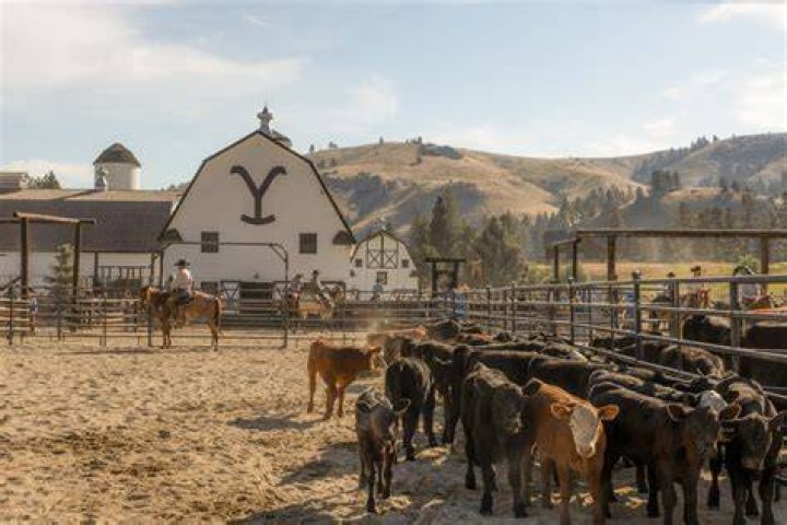 Is the Yellowstone ranch real?