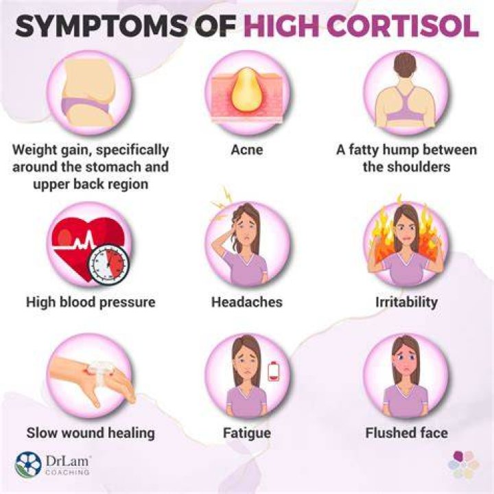 What are high cortisol symptoms?
