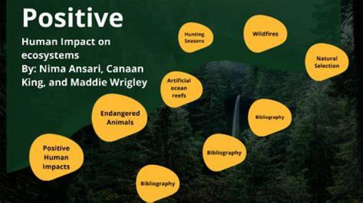 What are some positive impacts humans have on the environment?