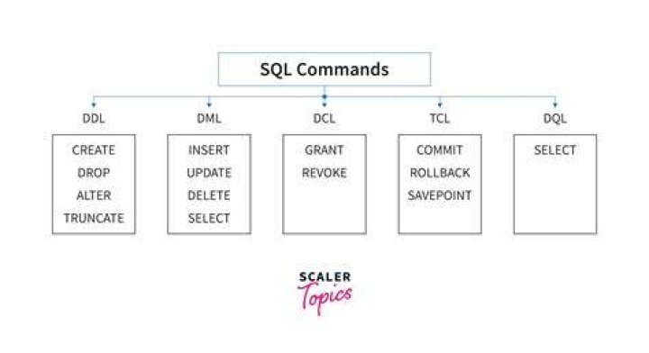 What are the commands of DDL?