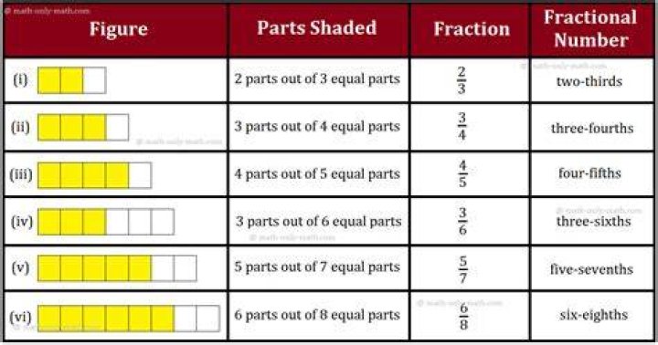 What are the two main parts of fraction?