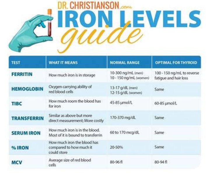 What can decrease iron levels?