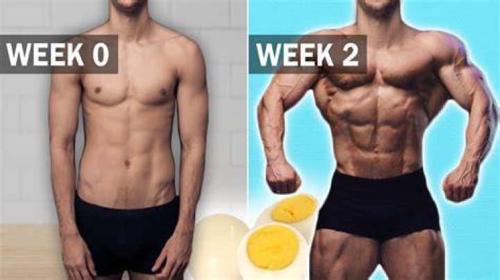 What can replace eggs bodybuilding?