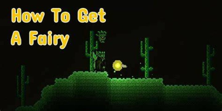 What does the fairy Bell do Terraria?
