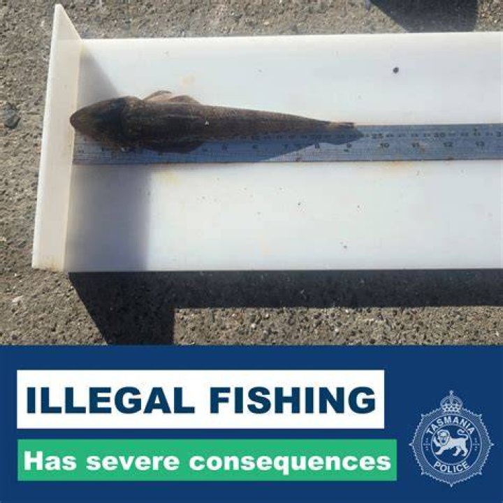 What fish are illegal in Australia?