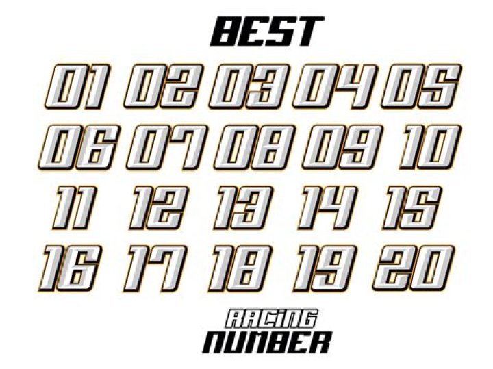 What is a race number?