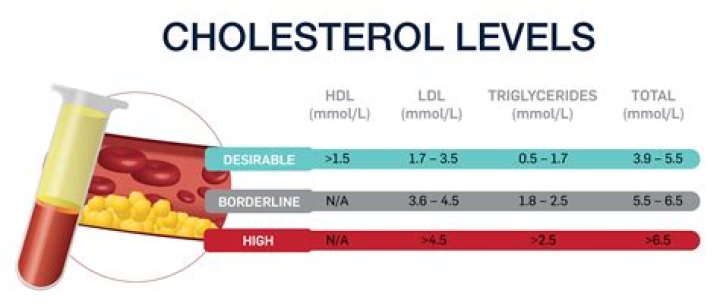 What is considered high cholesterol?