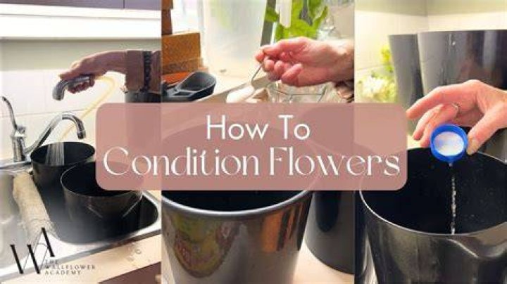What is flower conditioning?