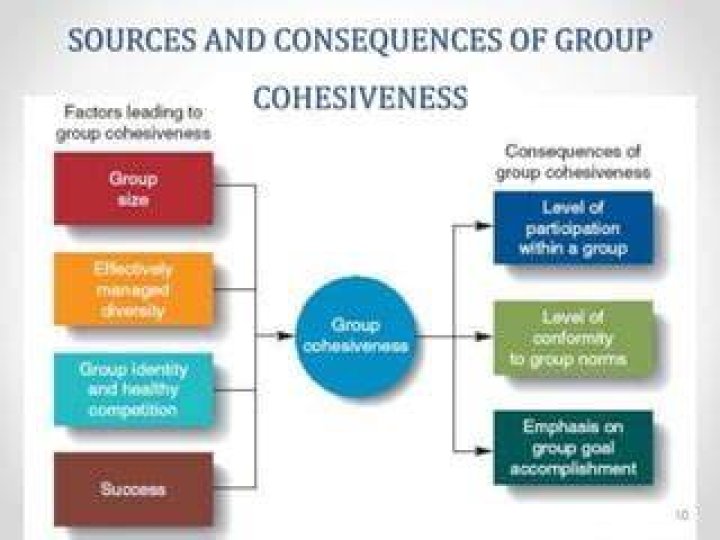 What is group cohesiveness in Organisational behaviour?