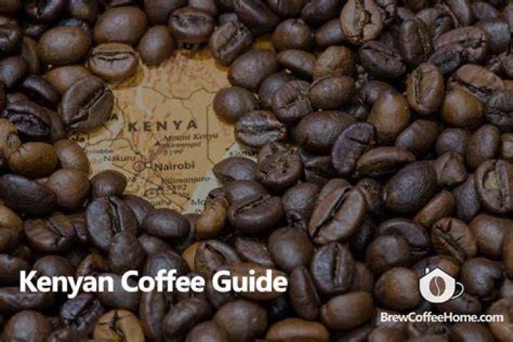 What is Kenyan coffee?