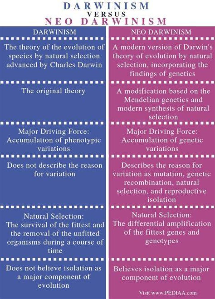 What is neo Darwinism theory?