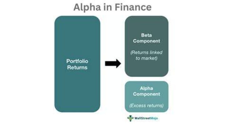 What is portfolio alpha and beta?
