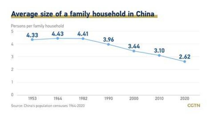 What is the average family size in China 2021?