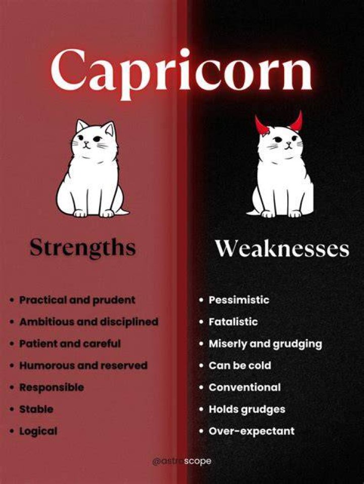 What is the weakness of Capricorn?