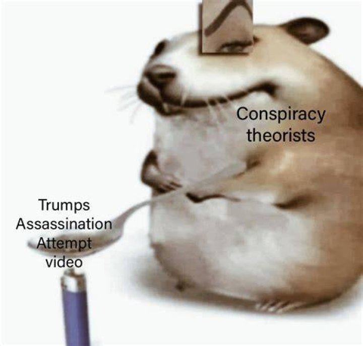 What kills a hamster?