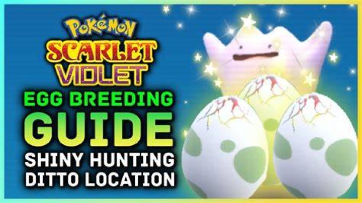 What Poké Ball do eggs hatch into Ditto?