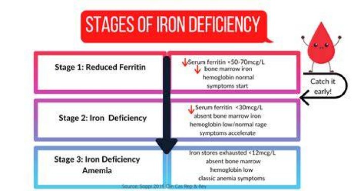 What stomach conditions cause low ferritin?
